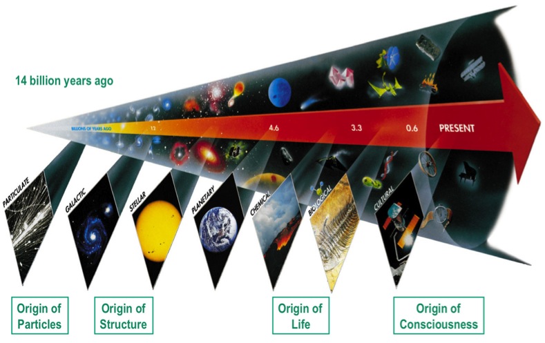 Seven_Evolution