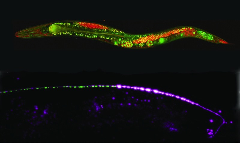 Stacks Image 113